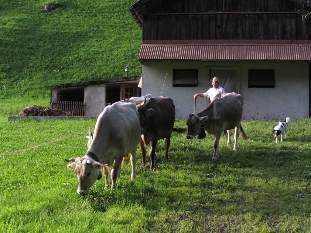 Ferienstudio In Unterschaechen Rum bild